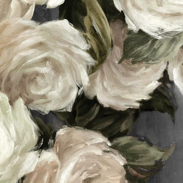 Cream Roses Against Dark Leaves