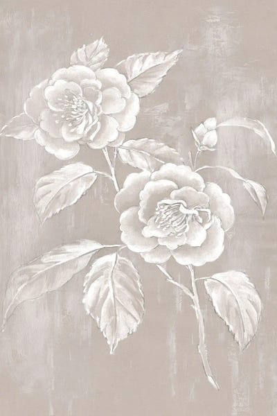 Alex Black: Delicate Blossoms On Neutral Canvas I by Alex Black