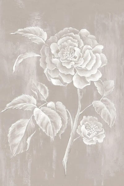 Blossoms: Delicate Blossoms On Neutral Canvas II by Alex Black