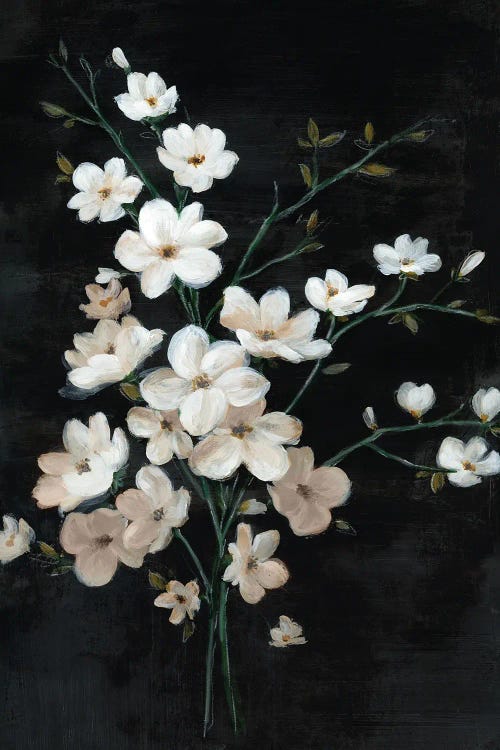 White Blossoms On Dark Canvas II