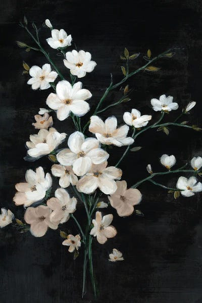 Alex Black: White Blossoms On Dark Canvas II by Alex Black