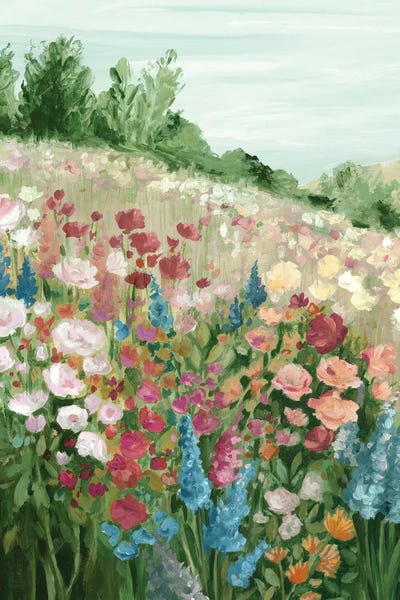 Colorful Blooms On Rolling Hill