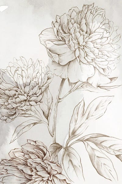 Delicate Blooms