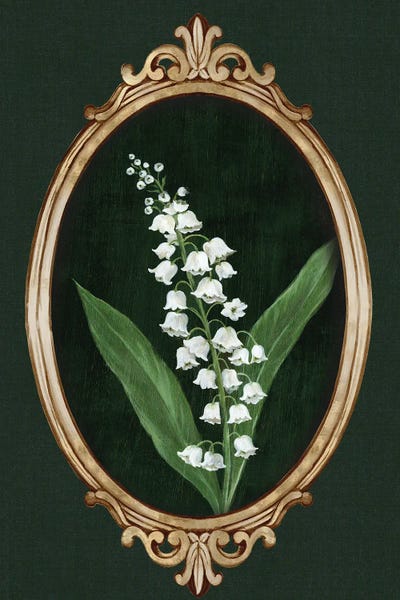 Framed Beauty I