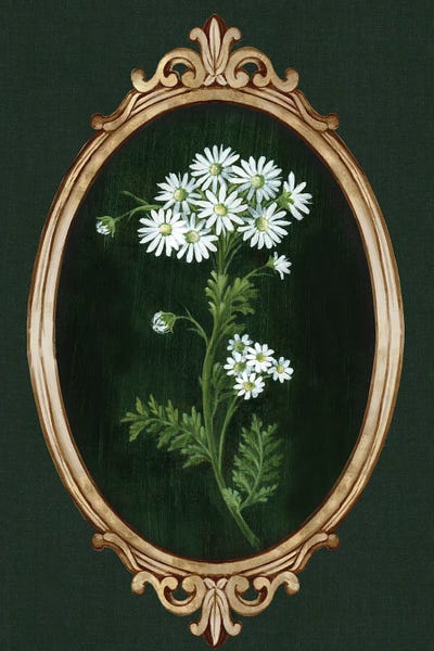 Framed Beauty II