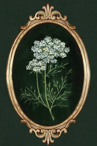 Alex Black: Framed Beauty III by Alex Black