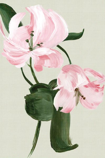Pink Tranquil Lilies