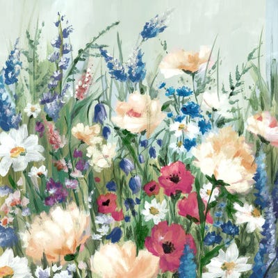Vibrant Wildflower Garden