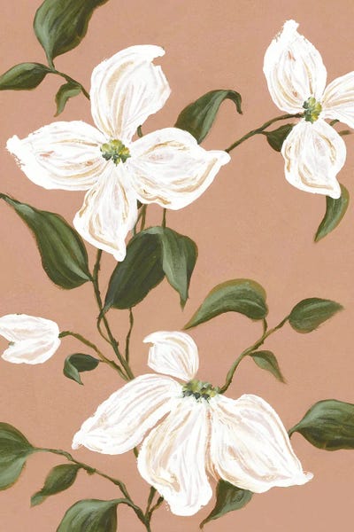 Alex Black: White Blooms On Earthy Canvas I by Alex Black