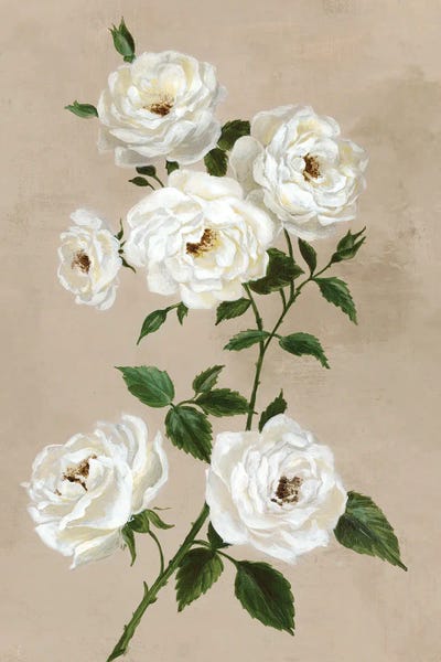 Alex Black: White Flowers On Beige by Alex Black