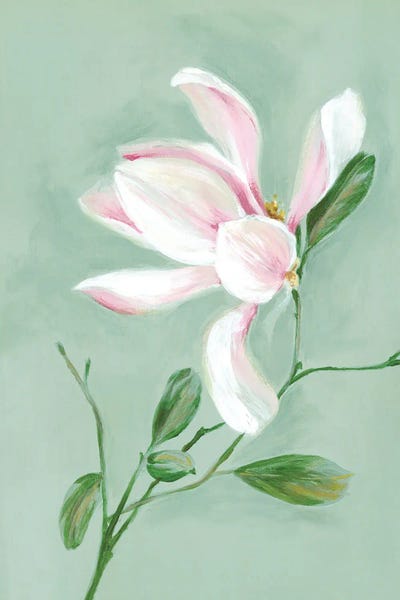 Alex Black: White Tranquil Magnolia by Alex Black