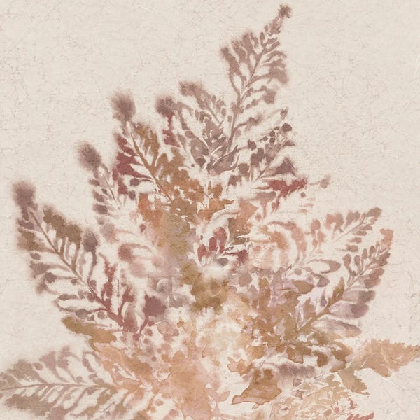 Ferns: Coral Fern II by Alex Black