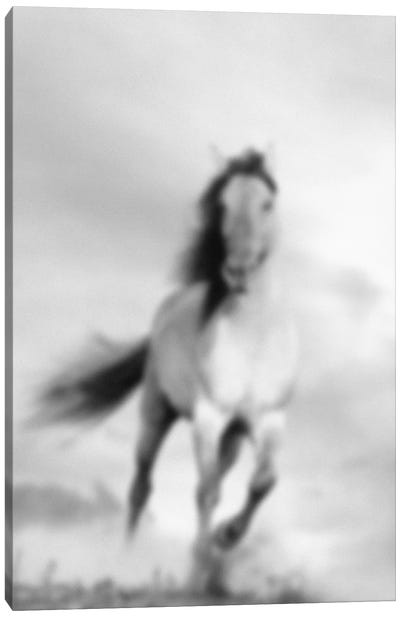 Blurred Étalon Canvas Art Print - White Art