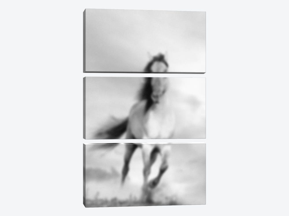 Blurred Étalon by 5by5collective 3-piece Canvas Art Print