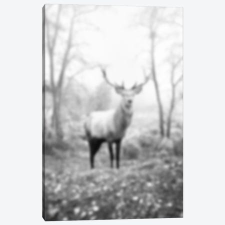 Blurred Le Cerf Canvas Print #BLM16} by 5by5collective Canvas Artwork