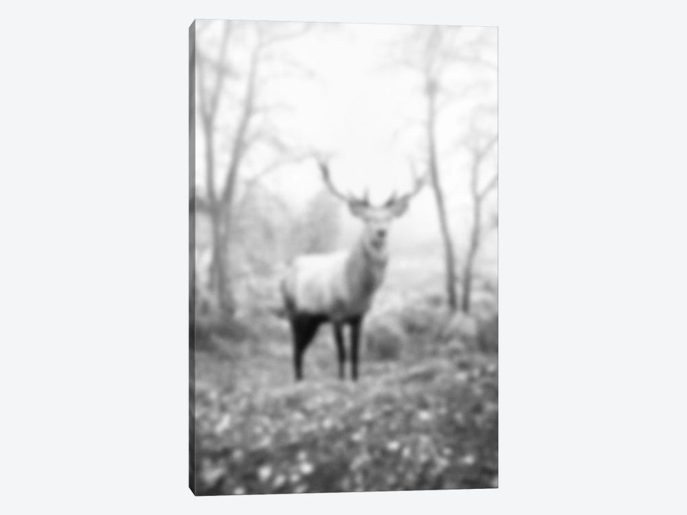 Blurred Le Cerf by 5by5collective 1-piece Canvas Print