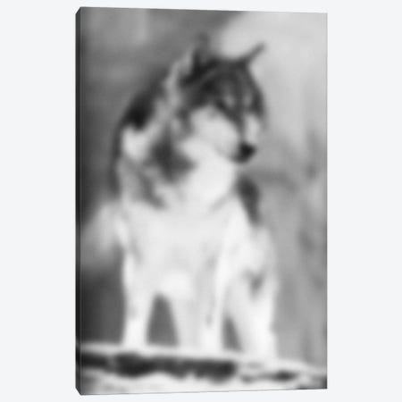 Blurred Loup Canvas Print #BLM17} by 5by5collective Canvas Artwork