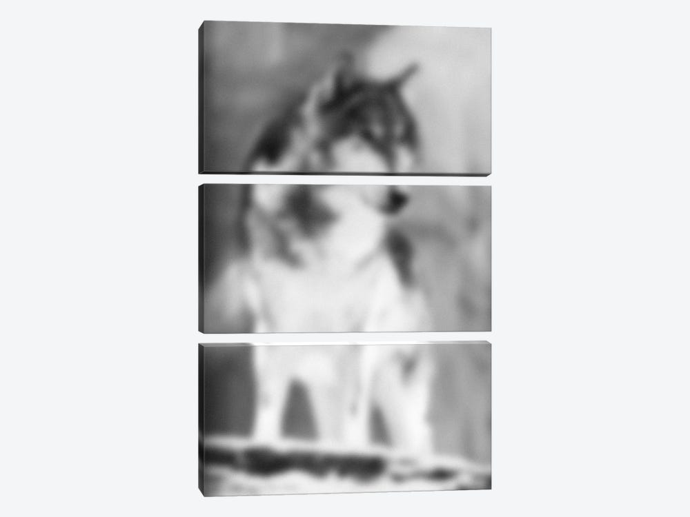 Blurred Loup by 5by5collective 3-piece Canvas Art