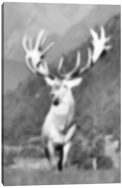 Blurred Ongulé Canvas Art Print - Deer Art