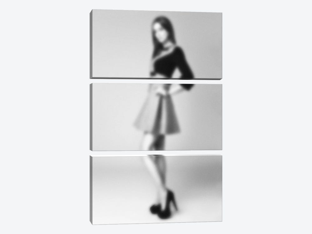 Blurred Bianca by 5by5collective 3-piece Canvas Art Print