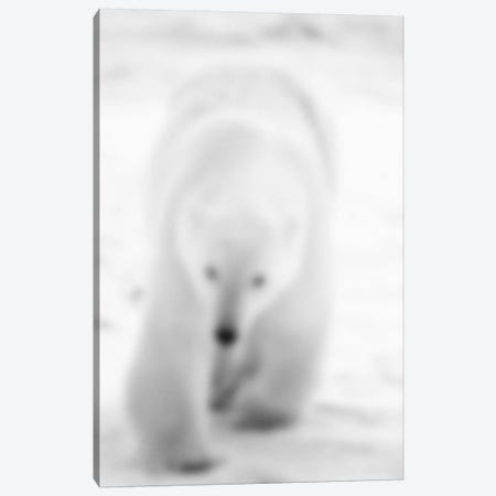 Blurred Blanc Canvas Print #BLM4} by 5by5collective Canvas Wall Art