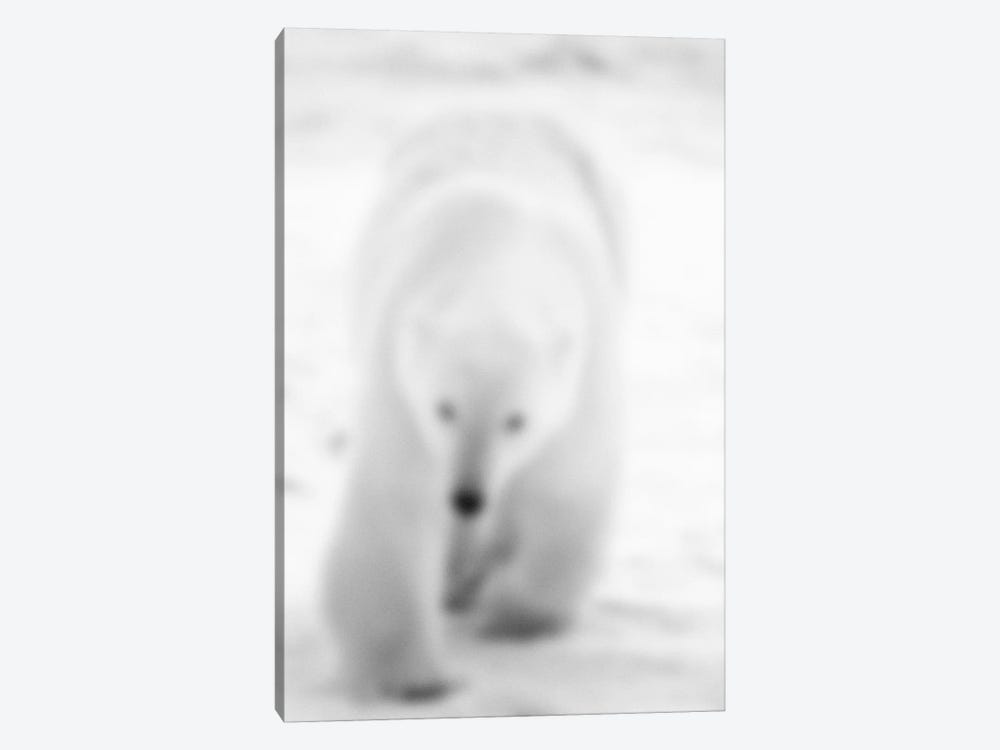 Blurred Blanc by 5by5collective 1-piece Canvas Wall Art