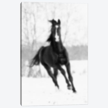 Blurred Cheval Canvas Print #BLM6} by 5by5collective Canvas Wall Art