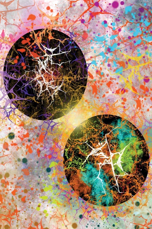 Sinapse by J.Bello Studio wall art