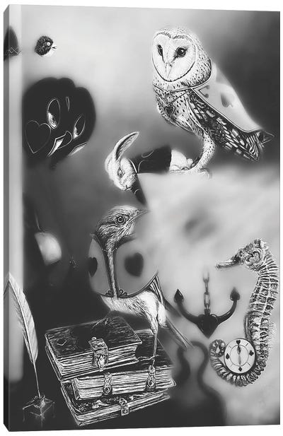The Key to the Fantastic World BW Canvas Art Print