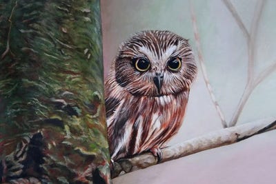 Night Eyes by J.Bello Studio framed canvas print