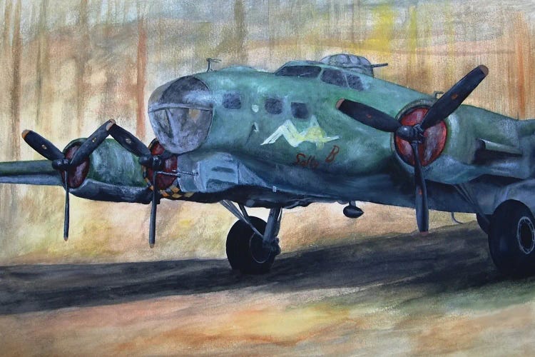 Vintage Plane I