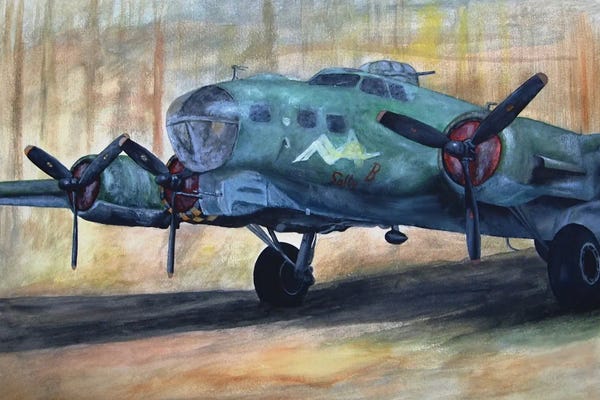 Vintage Plane I