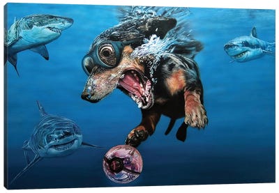 Catch Me If You Can Canvas Art Print - Shark Art