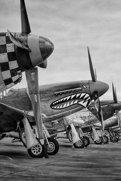 Fly Away To The Sky Black And White by J.Bello Studio framed canvas print