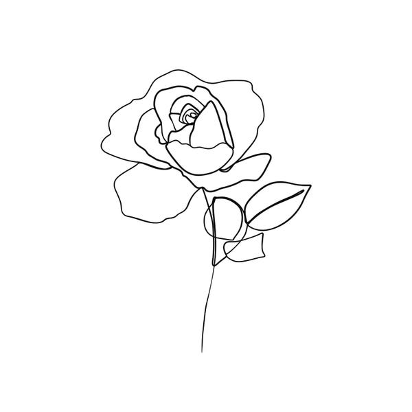 Scandinavian Décor: Botanical №4 Square by Blek Prints