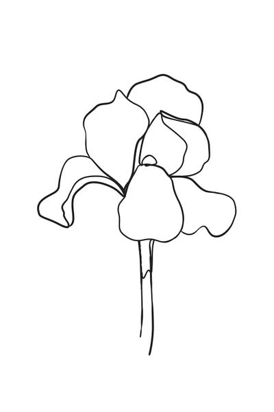 Black & White Florals: Botanical №5 Rectangle by Blek Prints