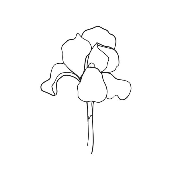 Black & White Florals: Botanical №5 Square by Blek Prints