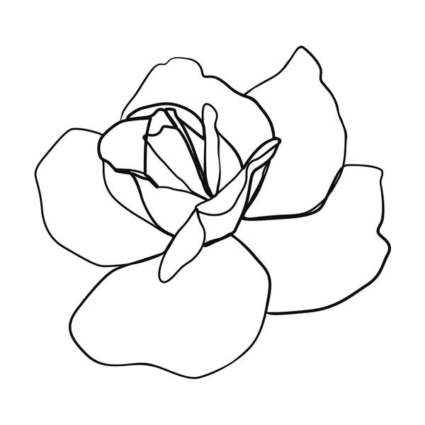 Black & White Florals: Botanical №7 Square by Blek Prints