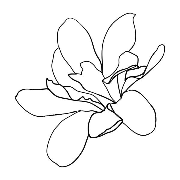 Black & White Florals: Botanical №10 Square by Blek Prints