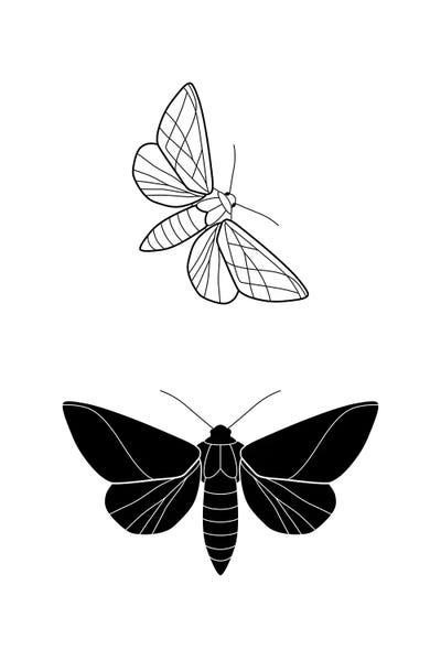 Butterlies Rectangle by Blek Prints canvas print