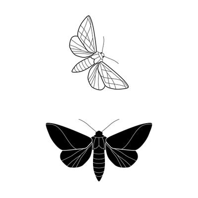 Butterlies Square by Blek Prints art print