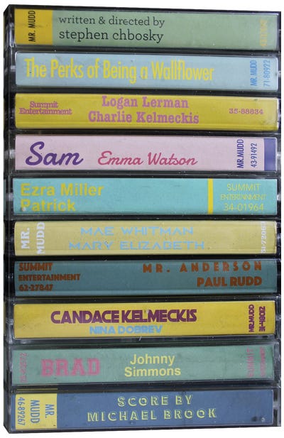 The Perks Of Being A Wallflower As Cassettes Canvas Art Print - Romance Movie Art