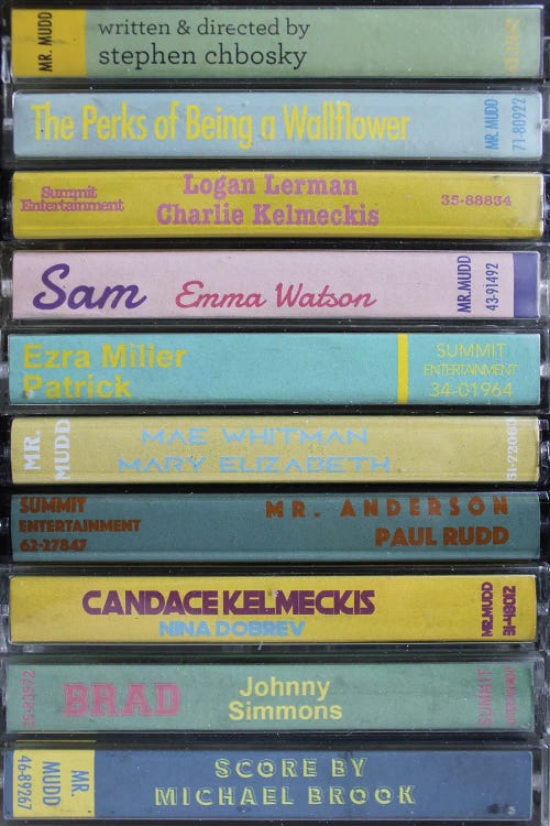 The Perks Of Being A Wallflower As Cassettes