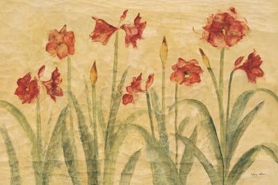 Row of Red Amaryllis by Cheri Blum art print