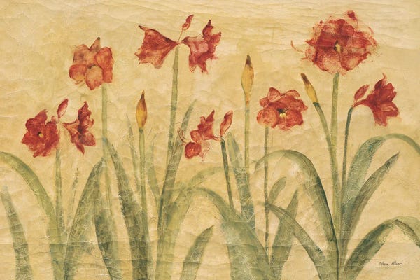 Amaryllis: Row of Red Amaryllis by Cheri Blum