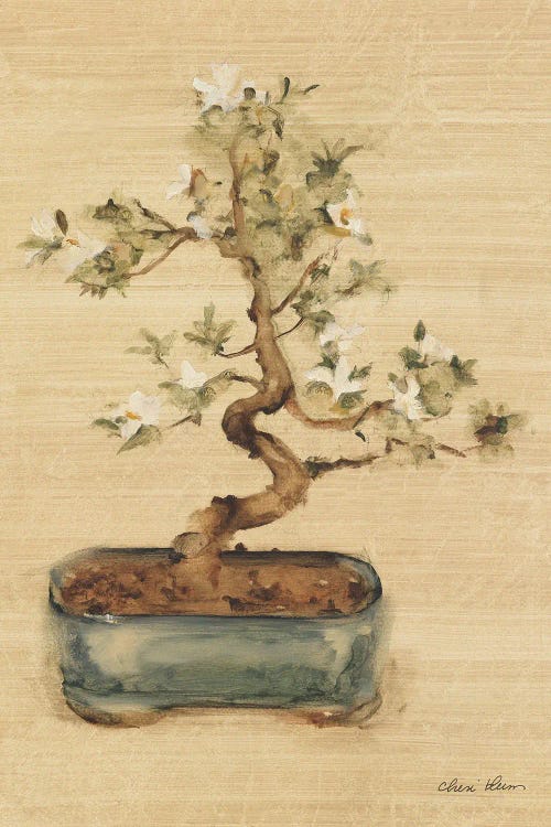 Bonsai II