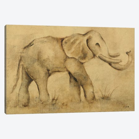 Global Elephant Light Canvas Print #BLU2} by Cheri Blum Canvas Art