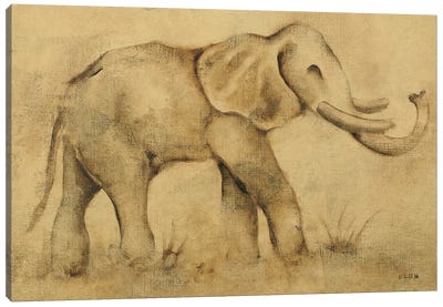 Global Elephant Light Canvas Art Print