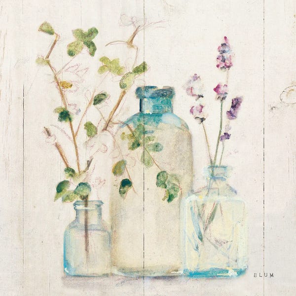 Wildflowers: Blossoms V Light by Cheri Blum