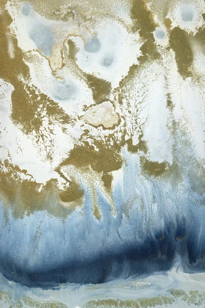 Siren II by Blakely Bering art print